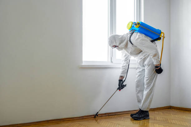 Flea Control Services in Remsenburg Speonk, NY