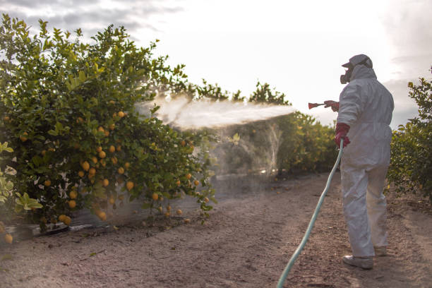 Insect Control in Remsenburg Speonk, NY