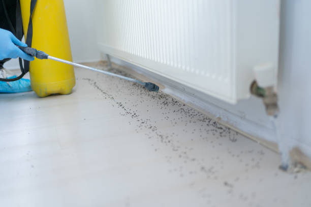 Best Mosquito Control Services  in Remsenburg Speonk, NY
